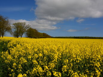 Rügen zu jeder Jahreszeit