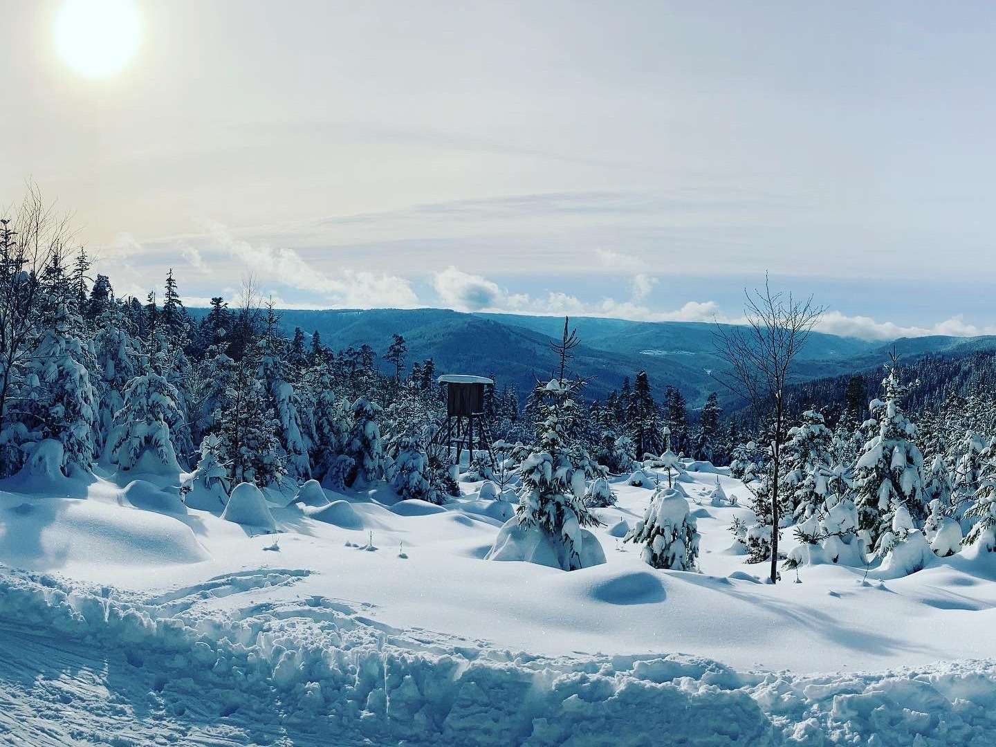 Schlemmer- Wellnesswochenende im Schwarzwald