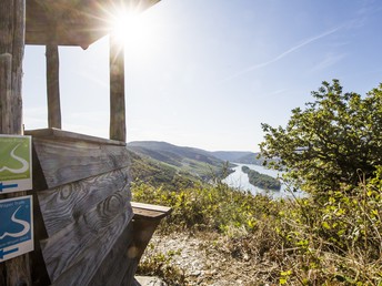 Große Ferien  - Aktiv & Genießer-Urlaub 7 Tage am Rhein