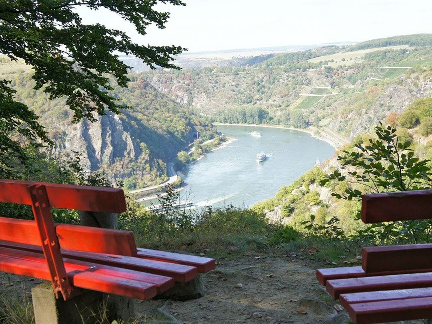 Große Ferien  - Aktiv & Genießer-Urlaub 7 Tage am Rhein