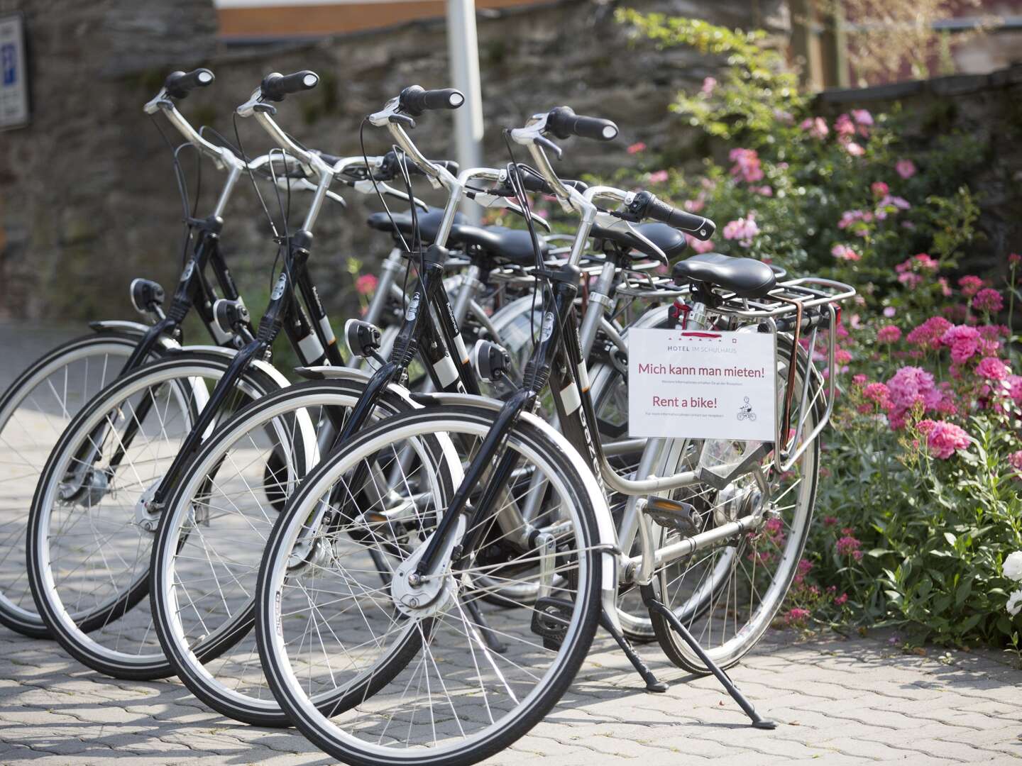 Große Ferien  - Aktiv & Genießer-Urlaub 7 Tage am Rhein