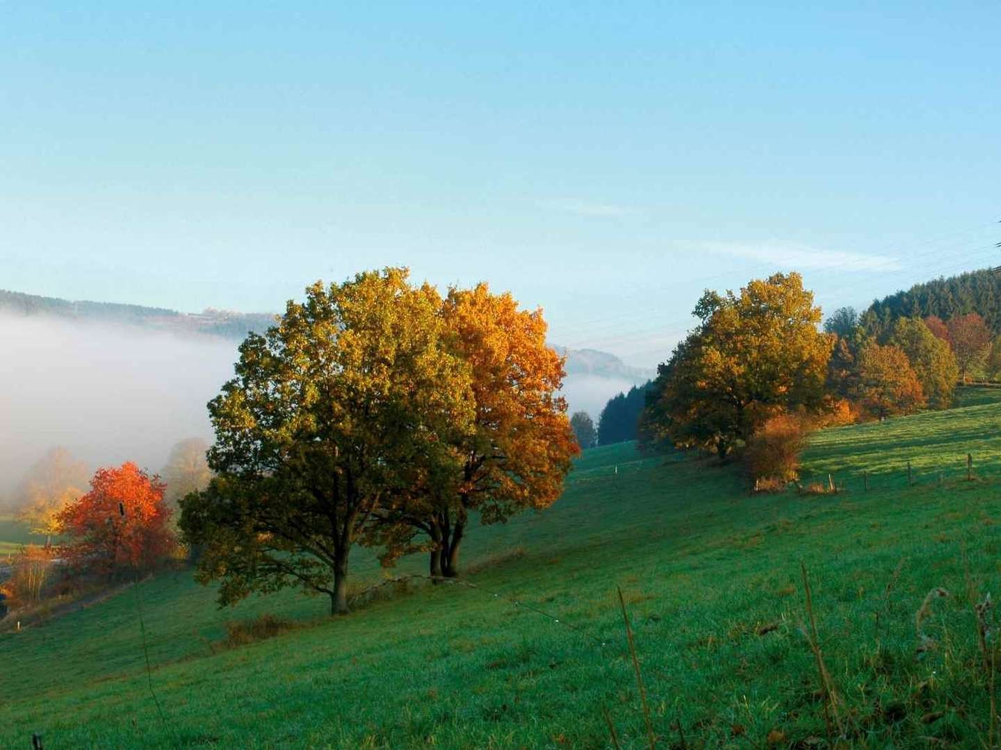 Frühjahrsknüller 2025 / 3 Tage Sauerland inkl. Halbpension 