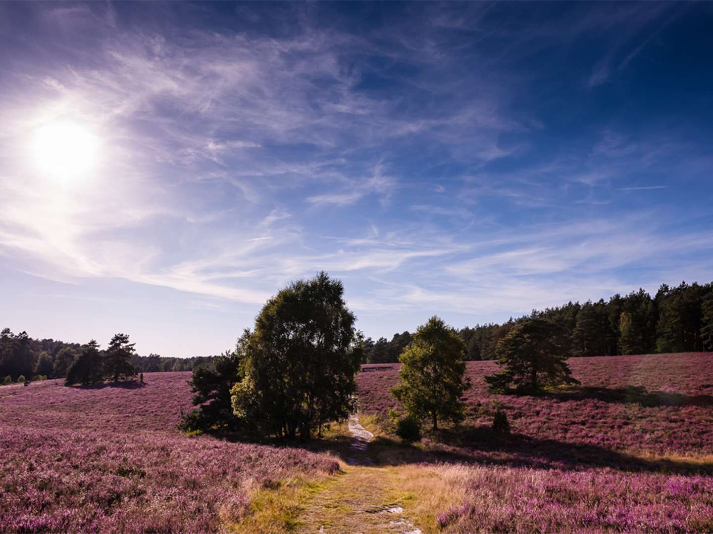 Weihnachten im Heidehof in der Lüneburger Heide