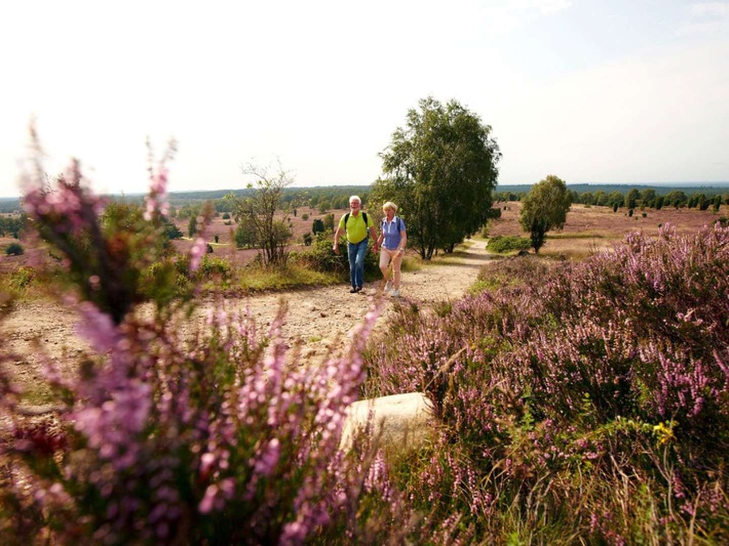 Weihnachten im Heidehof in der Lüneburger Heide