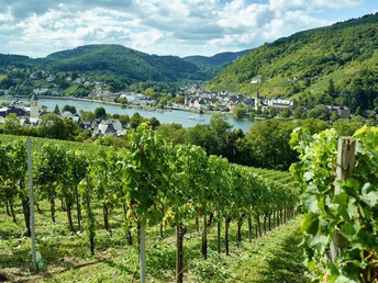 3 Tage Wein Genuss an der Mosel inkl. Rabatt für die Vulkaneifeltherme