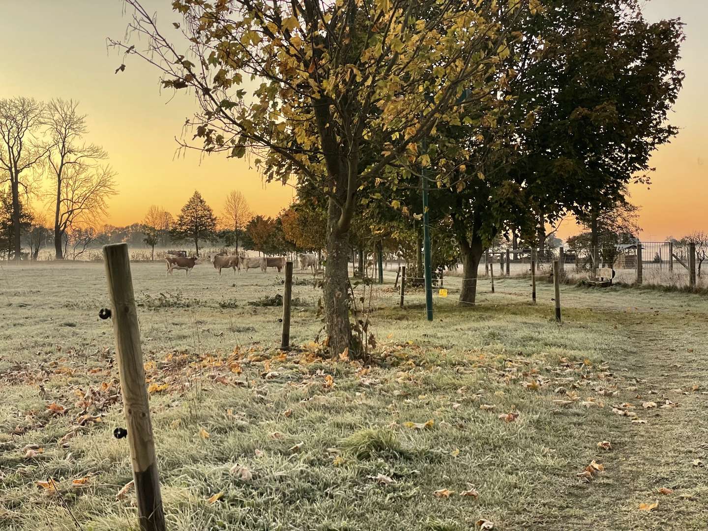 Auszeit zu Zweit - 3 Tage im Spreewald