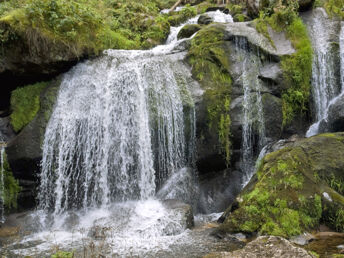 Genussvoller Kurzurlaub im Schwarzwald- 6 Tage mit Therme