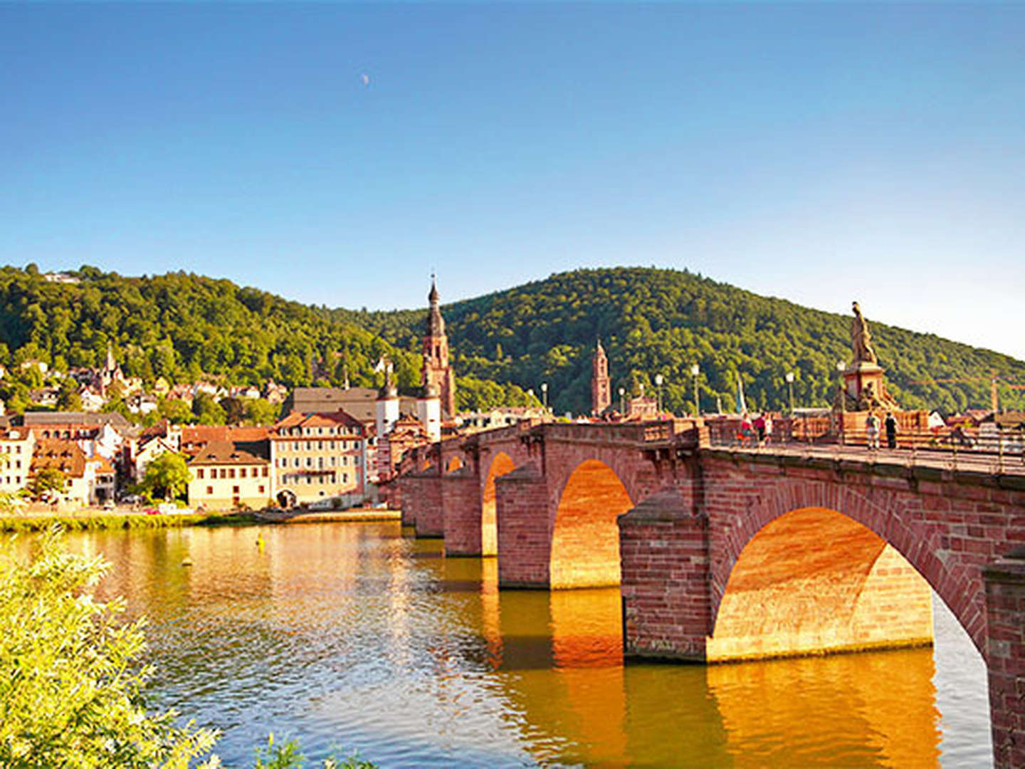 Wandern in der Heidelberger Umgebung inkl. Menü 