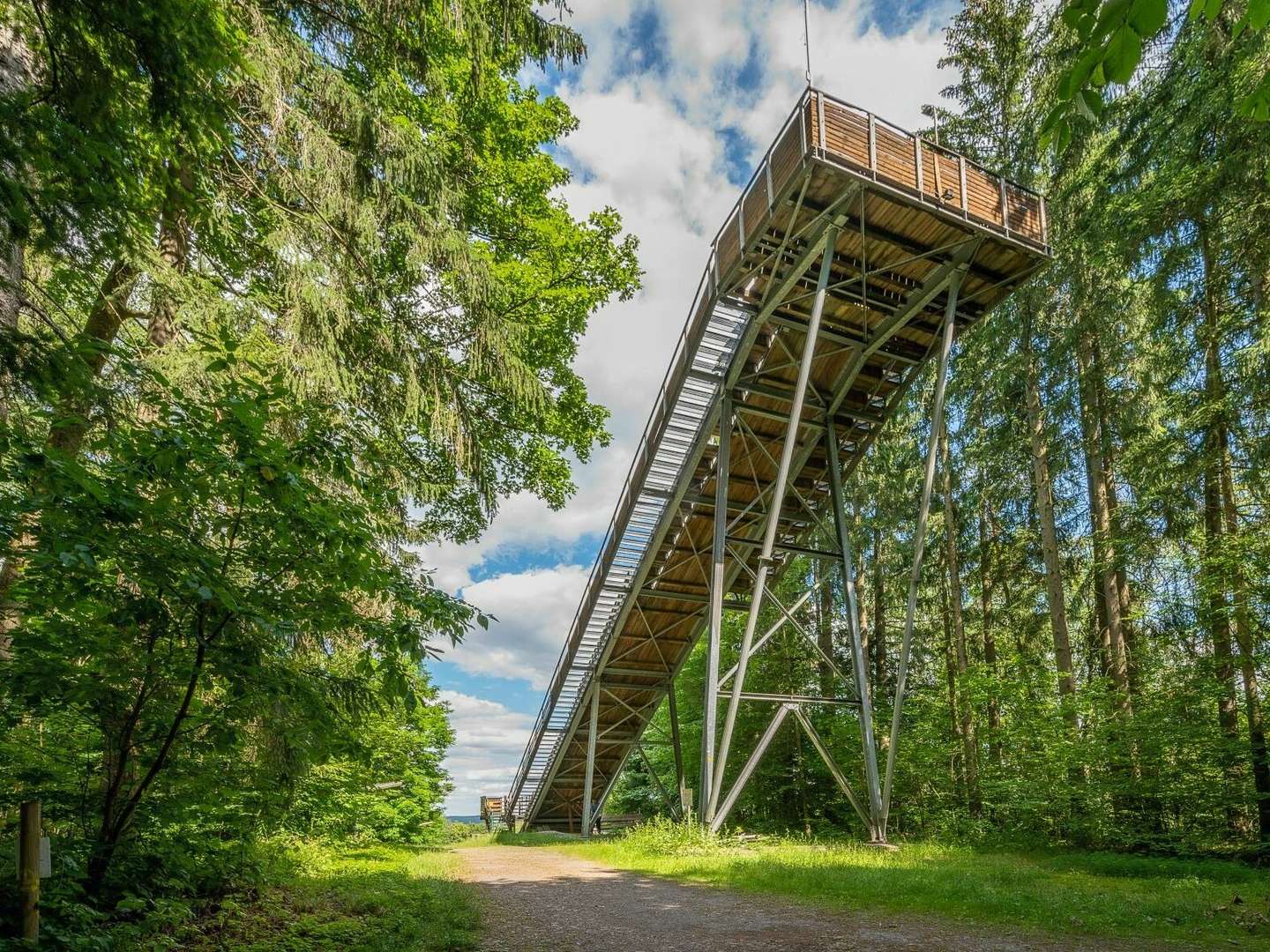 Katzenbuckel entdecken - Wandern im Odenwald  