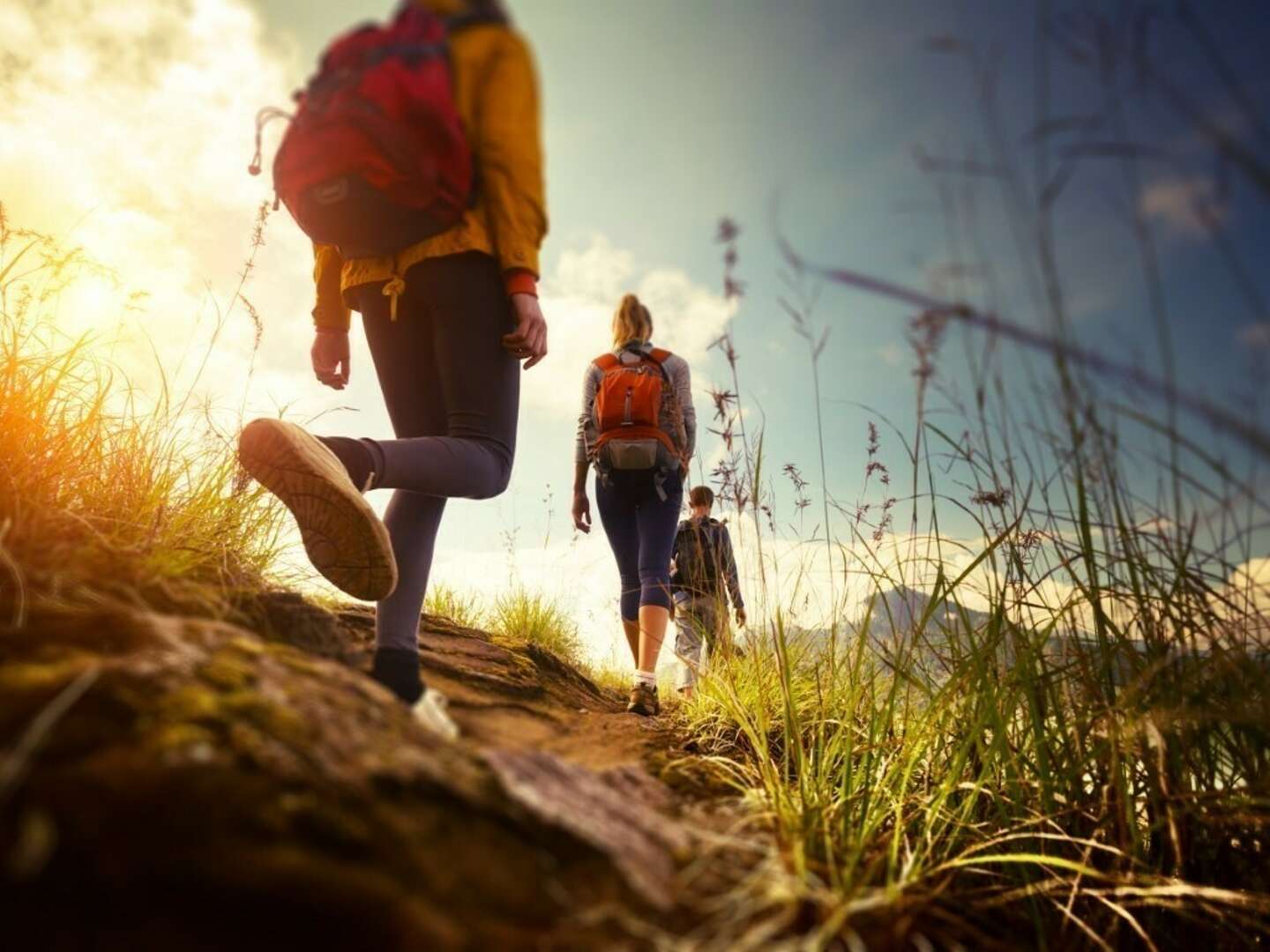 Wandern in der Heidelberger Umgebung inkl. Menü 