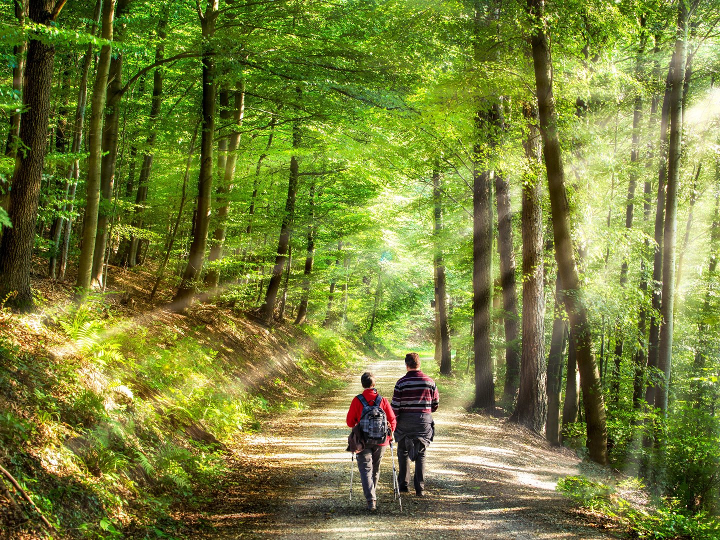 Biker-Wochenende im Sauerland |3 Tage