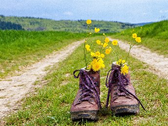 Kurztrip nach Meschede im Sauerland | 2 Tage*** 