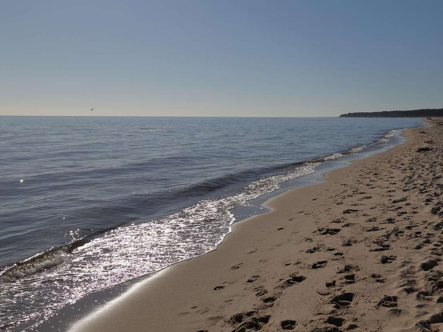 Weihnachten am Strand von Usedom