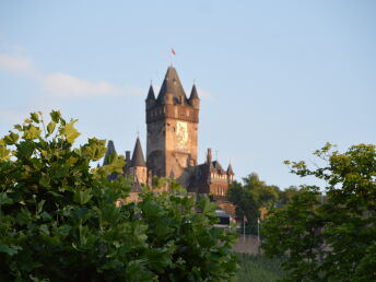 Jungweinfest an der Mosel  inkl. Abendessen 2025