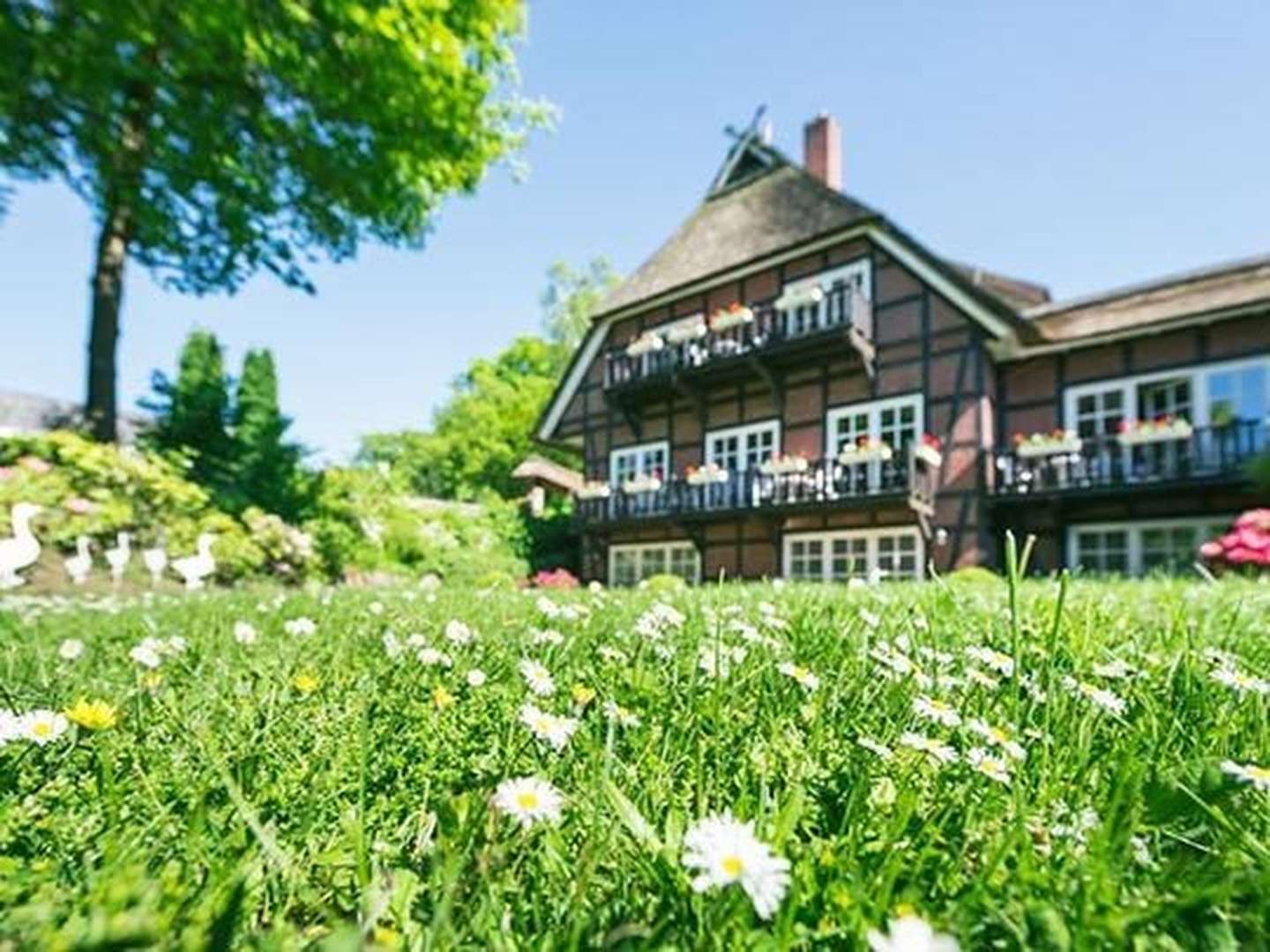 Wellness- Heideauszeit-Kurz & Gut - 4 Tage in Schnevedingen