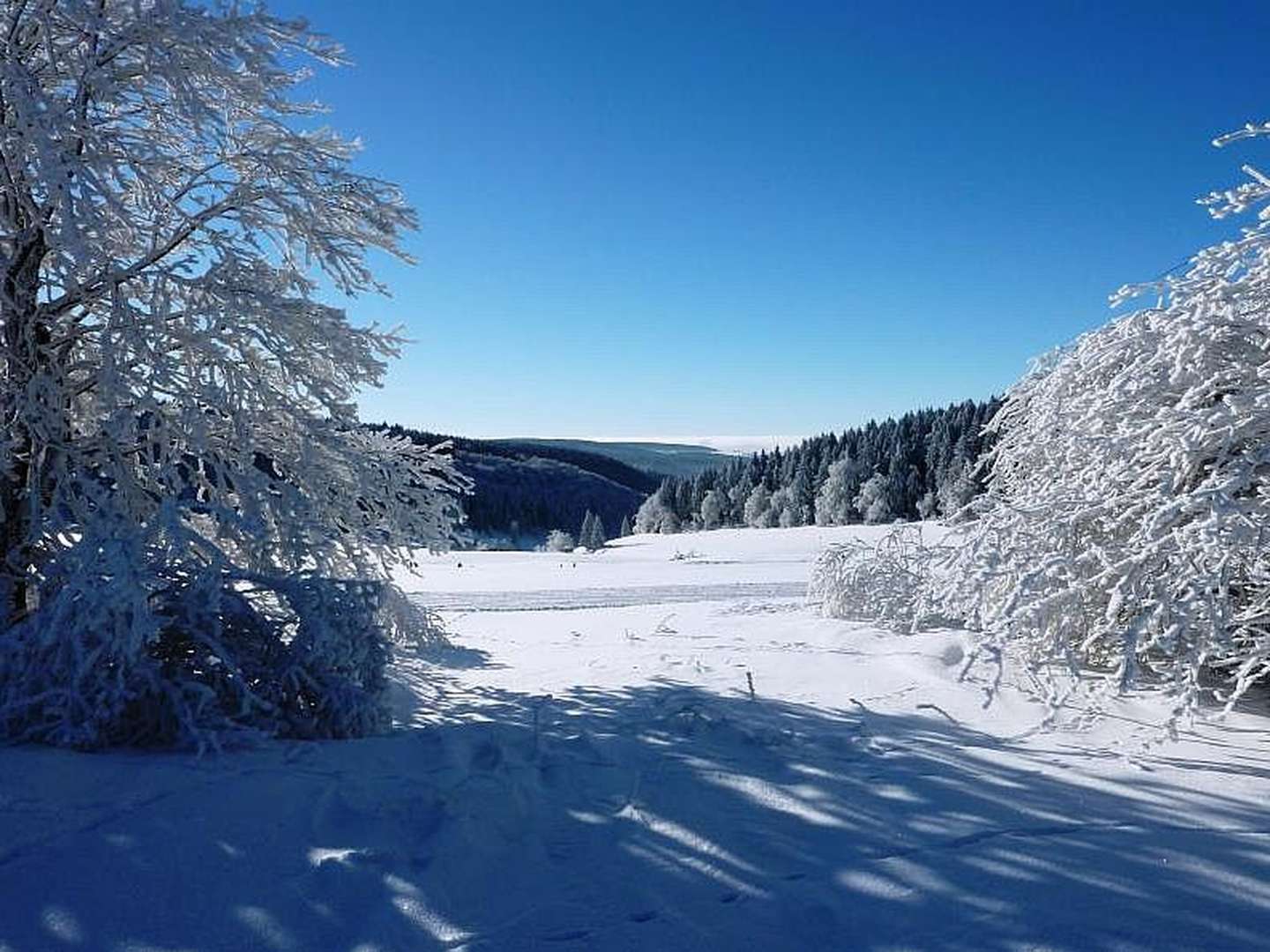 2 Nächte Stressless - Kurzurlaub zum Schnuppern im Schwarzatal, im schönen Thüringer Wald