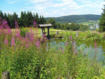 2 Nächte Stressless - Kurzurlaub zum Schnuppern im Schwarzatal, im schönen Thüringer Wald