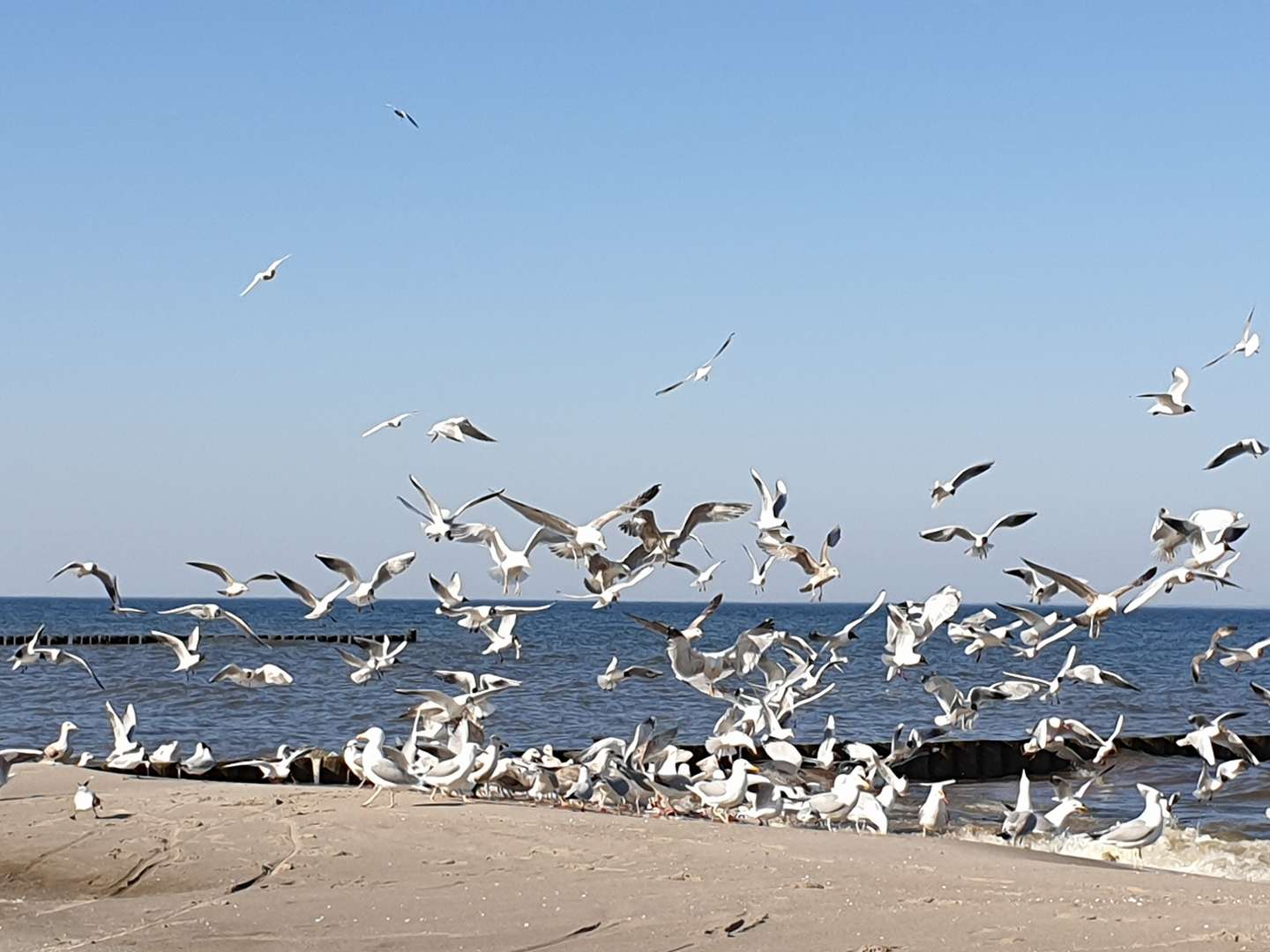 Silvester auf Usedom/ 5 Nächte