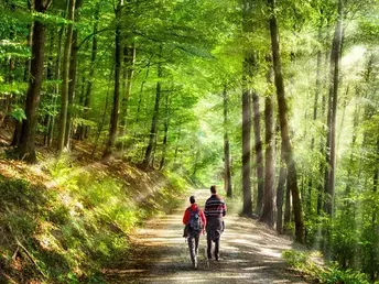 Natur pur im Vogtland  - 4 Tage inkl. Halbpension