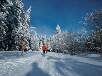 5 Tage - Den Winter im Vogtland erleben! inkl. Halbpension