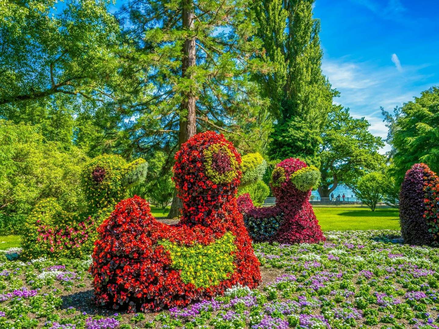 Kleine Auszeit am Bodensee