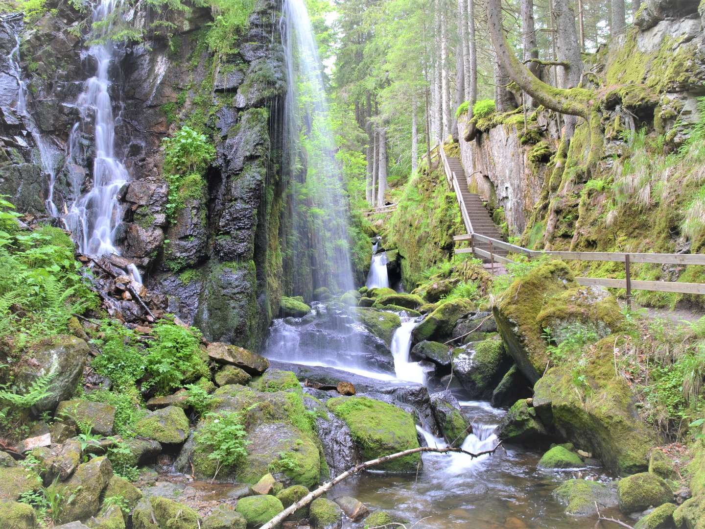 Kuschelstunden zu Zweit im romantischen Schwarzwald - 2 Tage mit Candle Light Diner