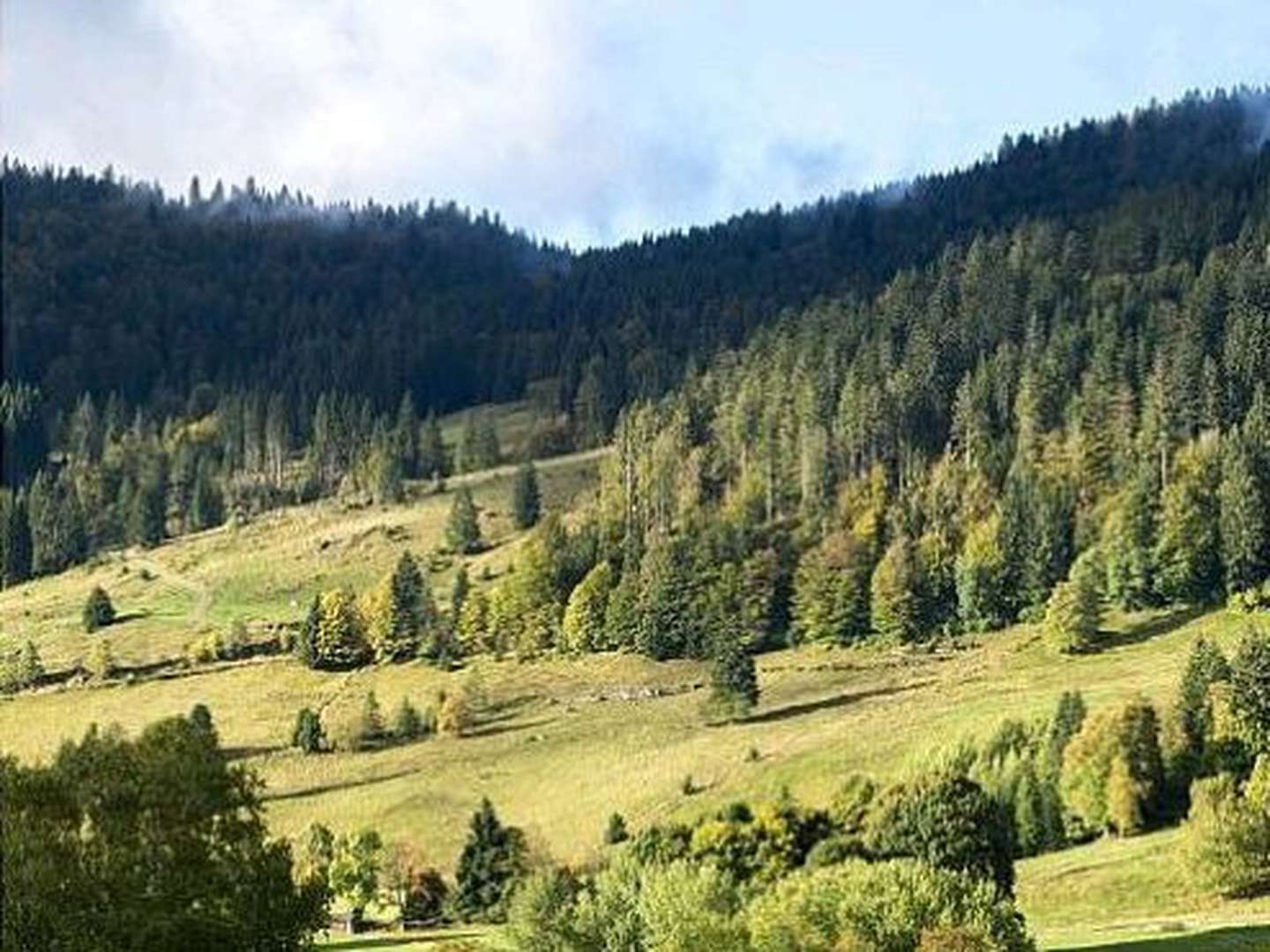 5 Tage Am Fuß des Feldberg   