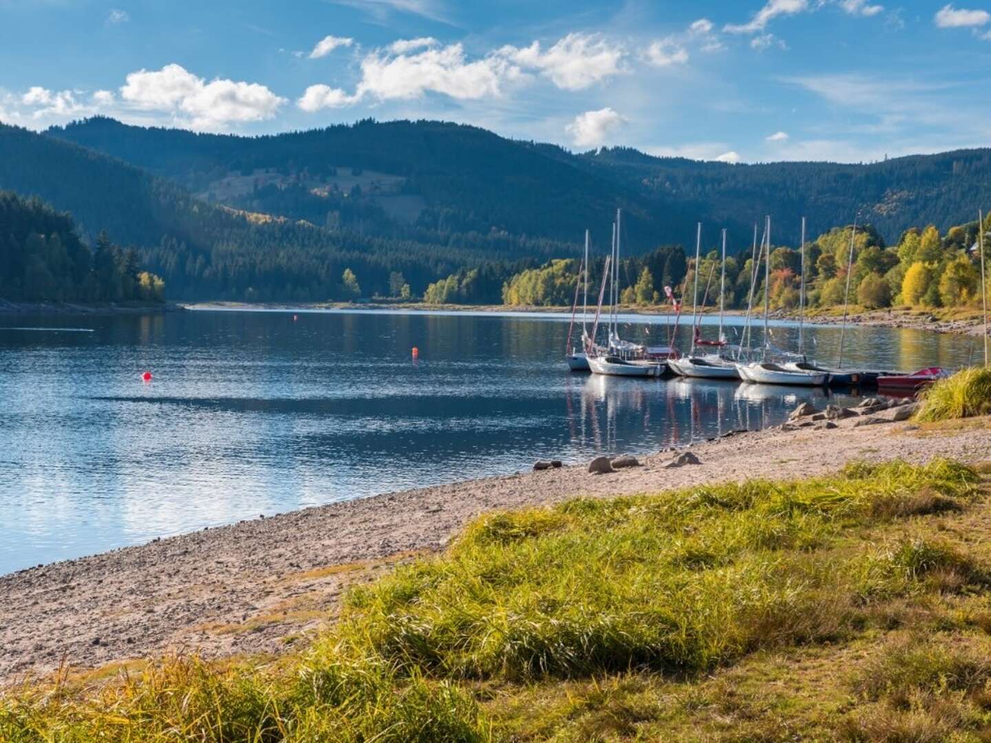 4 Tage Wandern im Schwarzwald   