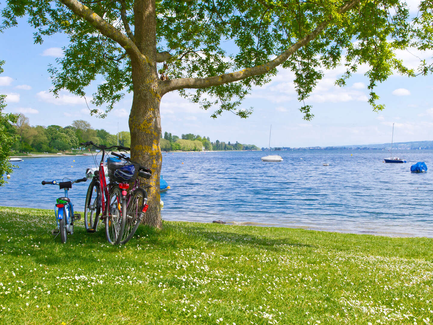 4 Tage Genießen am Bodensee