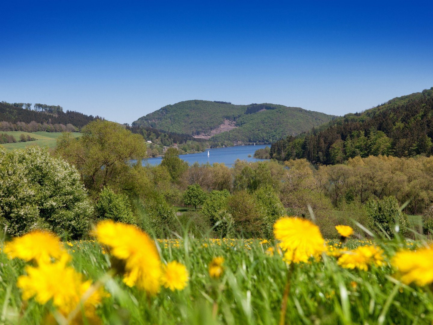 3 Tage Wandern auf dem Sauerland Höhenflug inkl. 1 x Verwöhn-Halbpension 