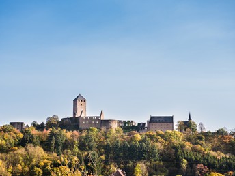 Kurvenreiches Pfälzer Bergland