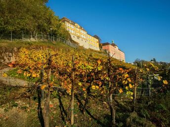 4 Tage Kurzurlaub am Bodensee  