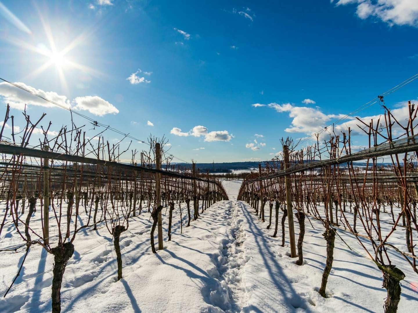 4 Tage Kurzurlaub am Bodensee  