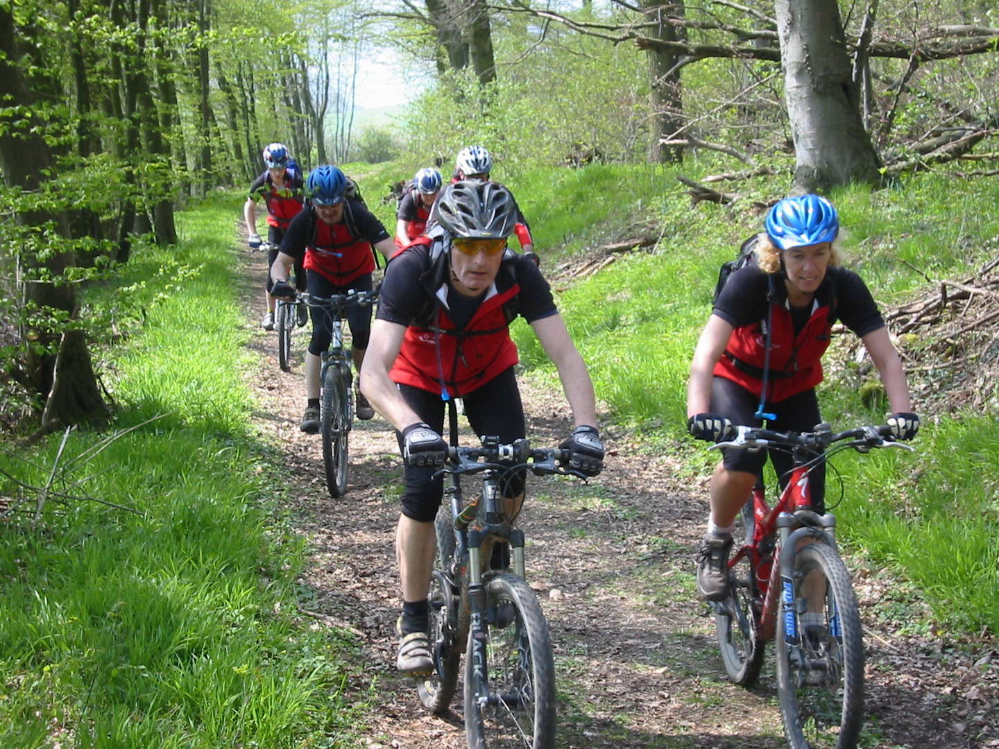 3 Tage - Wellness-Auszeit in Uslar inkl. 4-Gang-Menü