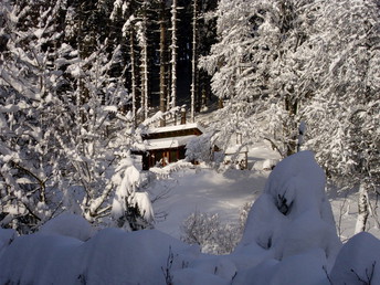 Skiurlaub am Skiliftkarussell Winterberg | 4 Nächte inkl. HP