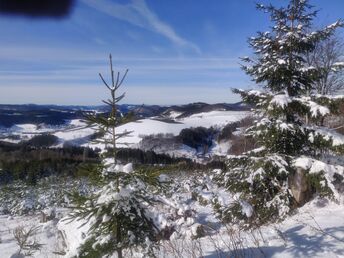 Skiurlaub am Skiliftkarussell Winterberg | 4 Nächte inkl. HP