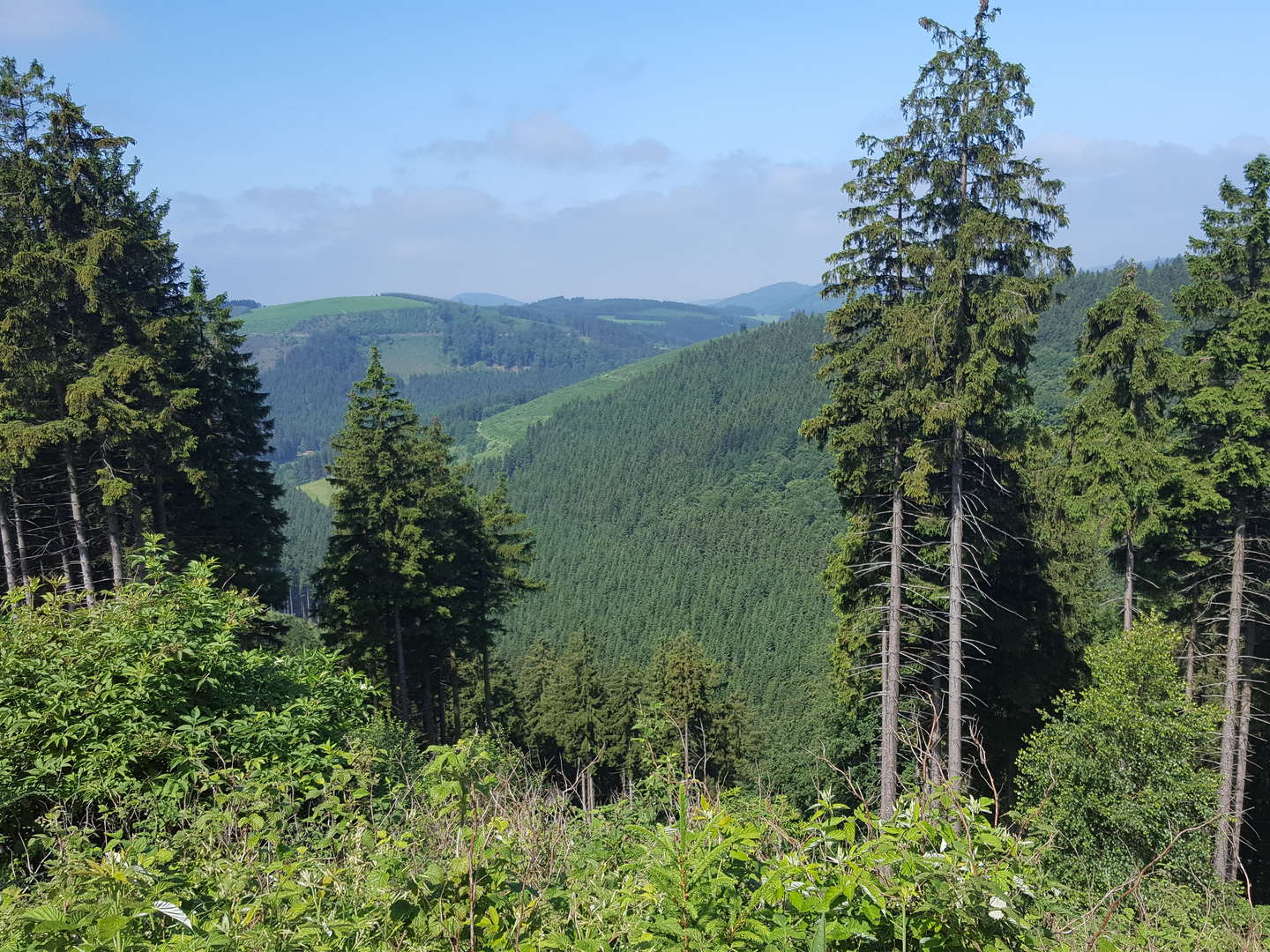 Wanderpauschale im Hochsauerland - 5 Tage 