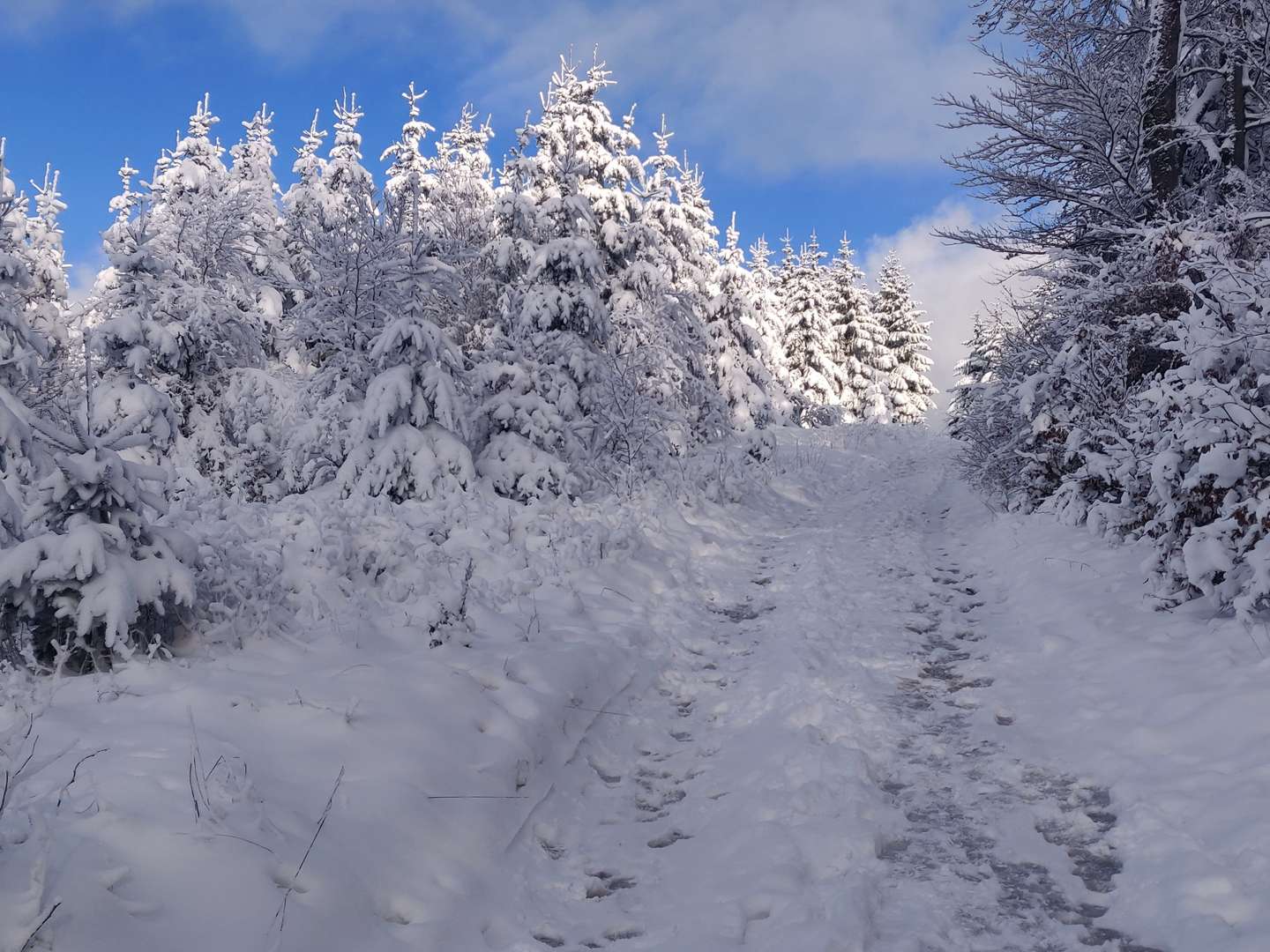 Wanderpauschale im Hochsauerland - 7 Tage  6 ÜN