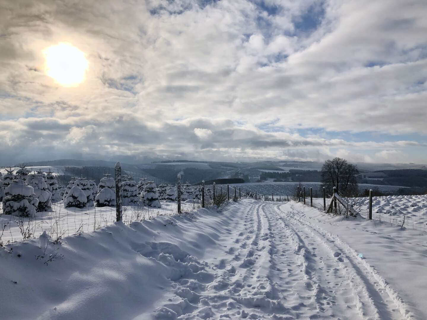 Skiurlaub am Skiliftkarussell Winterberg | 4 Nächte inkl. HP