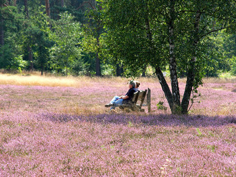 Meeresklima-Wohlfühl-Auszeit in der Lüneburger Heide - 5 Tage