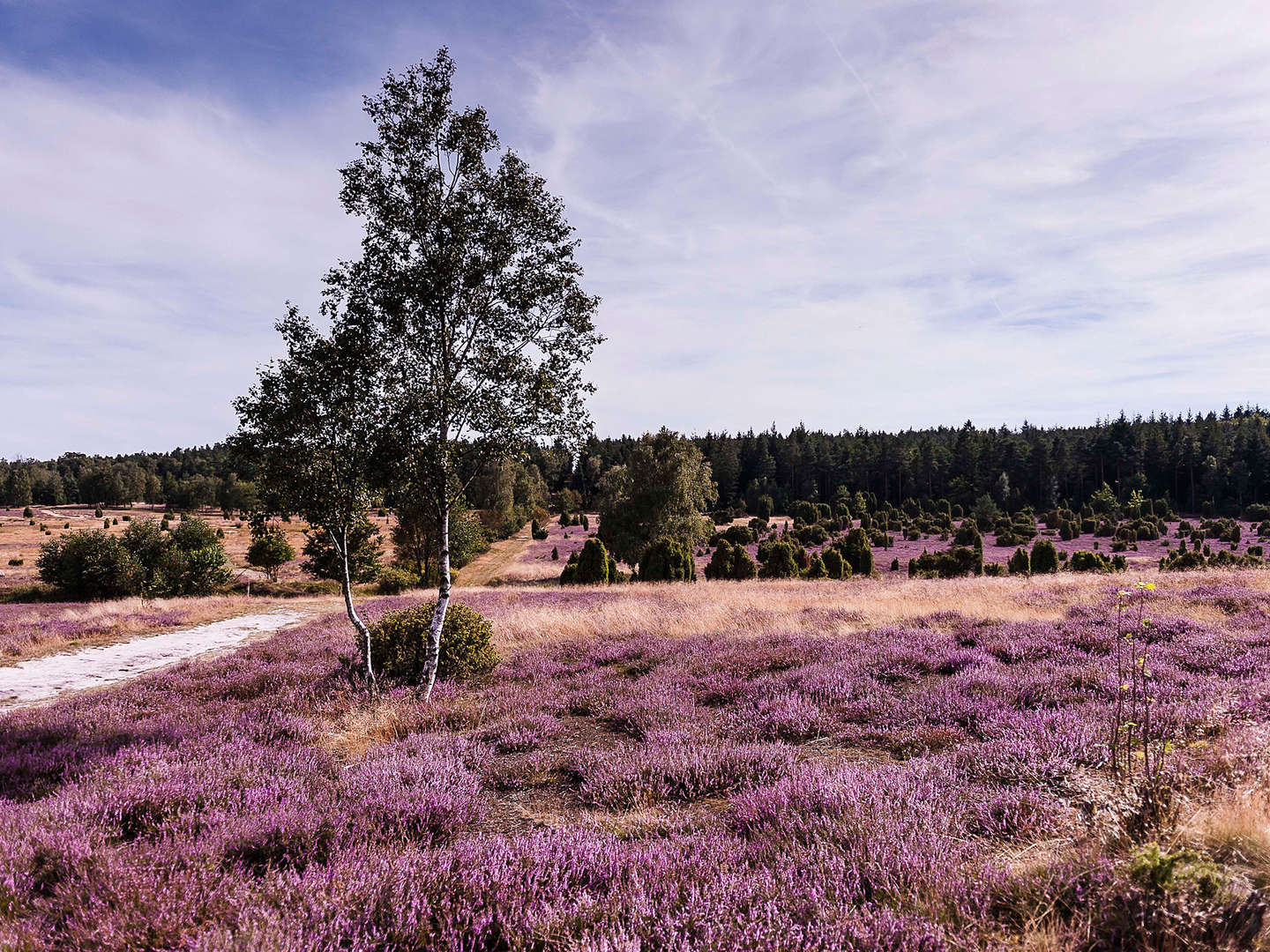 Meeresklima-Wohlfühl-Auszeit in der Lüneburger Heide- 4 Tage