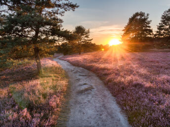 Natur pur! Picknick, Wandern oder Radeln in der Lüneburger Heide - 3 Tage inkl. Salzgrotte