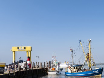 Kurze Auszeit mit Hund an der Nordsee inkl. 1x Abendessen| 3 Tage 