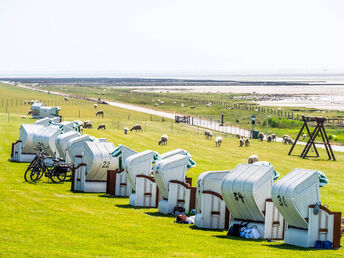 Kurze Auszeit mit Hund an der Nordsee inkl. 1x Abendessen| 3 Tage 