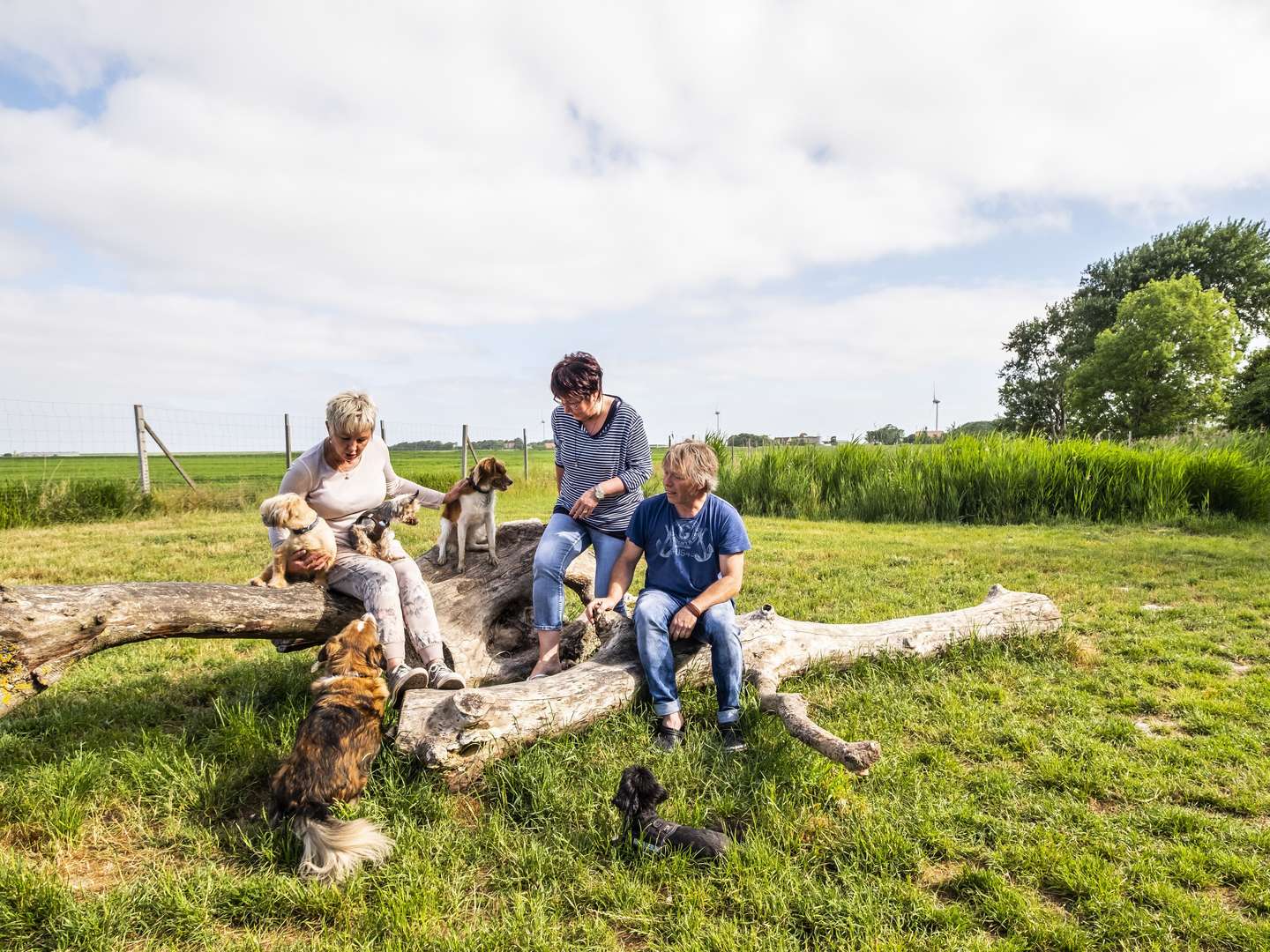 Kurze Auszeit mit Hund an der Nordsee inkl. 1x Abendessen| 3 Tage 