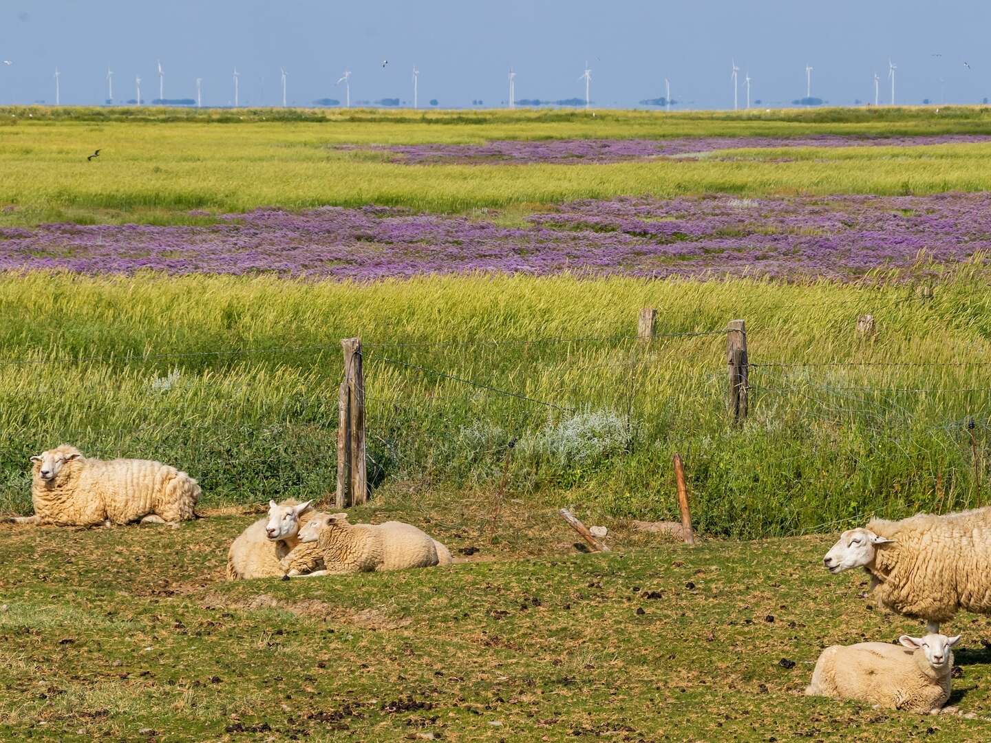 Auszeit an die Nordsee | 4 Tage