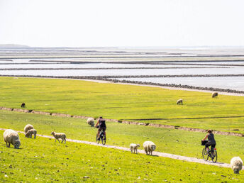 Frühlings-Spezial an der Nordsee inkl. 1x Abendessen