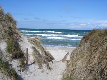 Kurzurlaub im Ostseebad Prerow auf dem Darß