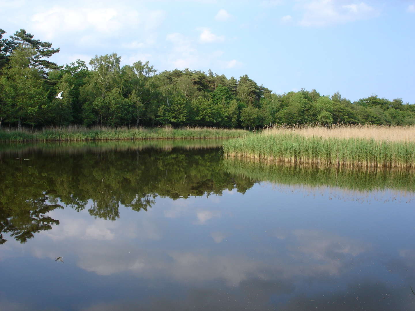 Kurzurlaub im Ostseebad Prerow auf dem Darß