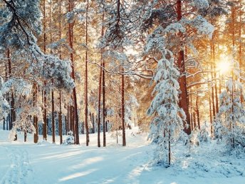 Wintererwachen in der 3-Burgen-Stadt